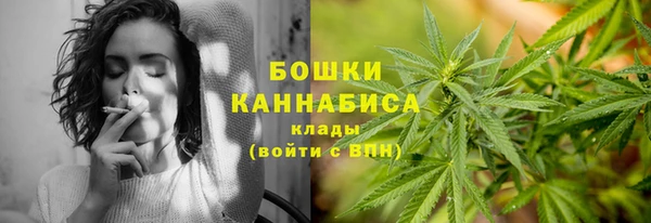 сатива Медвежьегорск