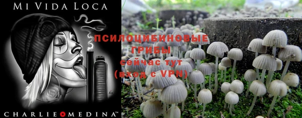 MDMA Premium VHQ Медногорск