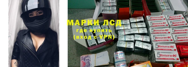 сатива Медвежьегорск