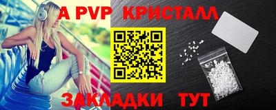 меф Кингисепп