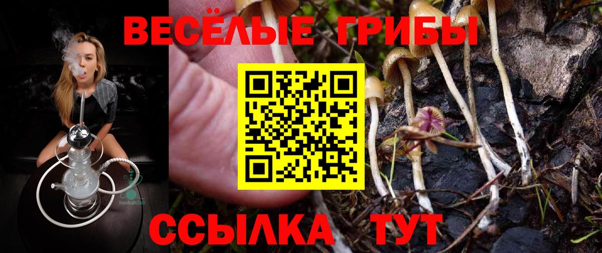 Нововоронеж  Псилоцибиновые грибы MAGIC MUSHROOMS  Вход с VPN 