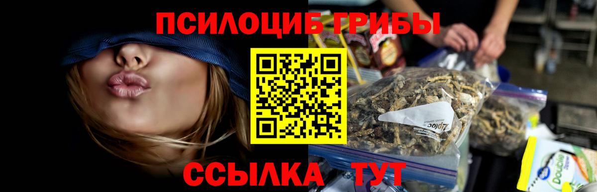Псилоцибиновые грибы Cubensis Нововоронеж
